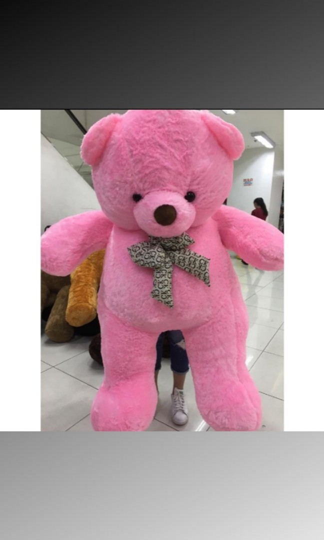 Human teddy bear cheap price