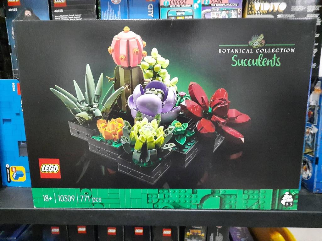 Lego Botanical Collection Succulents (10309), Hobbies & Toys, Toys ...