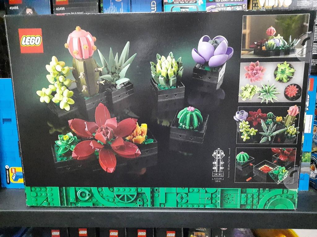 Lego Botanical Collection Succulents (10309), Hobbies & Toys, Toys