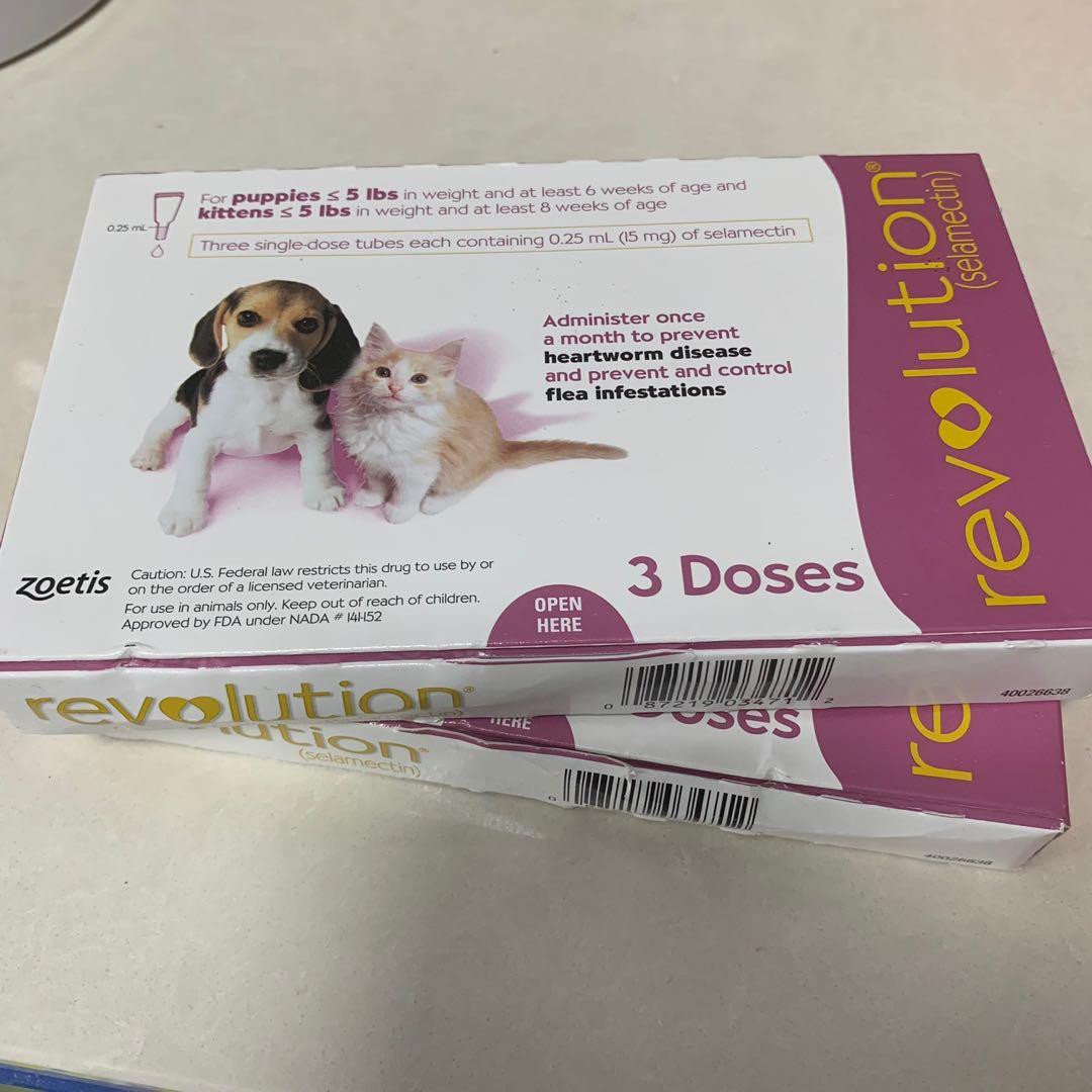 Revolution for puppies kittens under best sale 5 lbs