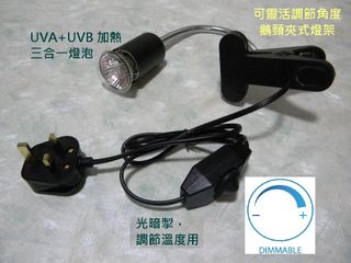（分類：）位於 。 由 josephchan17 提交（商品編號 1164885887，圖片 1）。簡介： 。