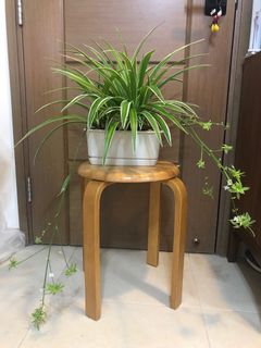 （分類：）位於 。 由 hoichun81 提交（商品編號 1164912520，圖片 1）。簡介： 。