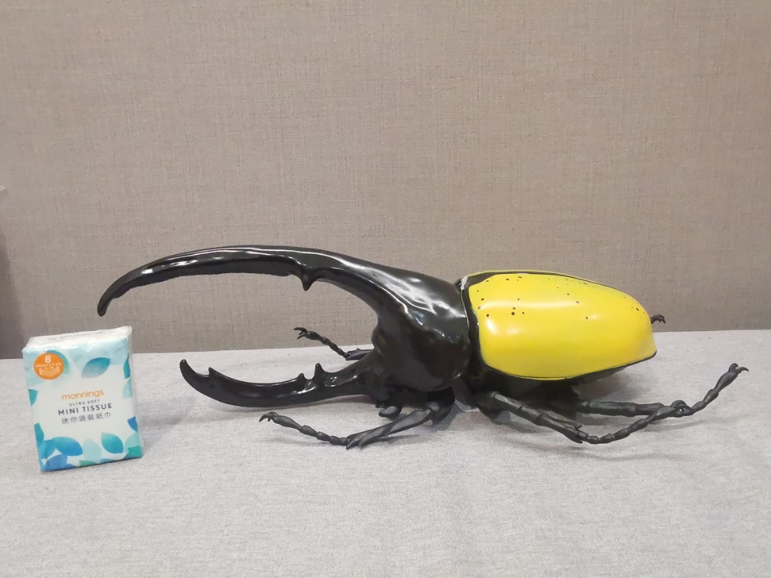 全新日版特大罕有高質量膠製甲蟲昆蟲海克力斯長戟大兜模型景品大 引 興趣及遊戲 玩具 遊戲類 Carousell