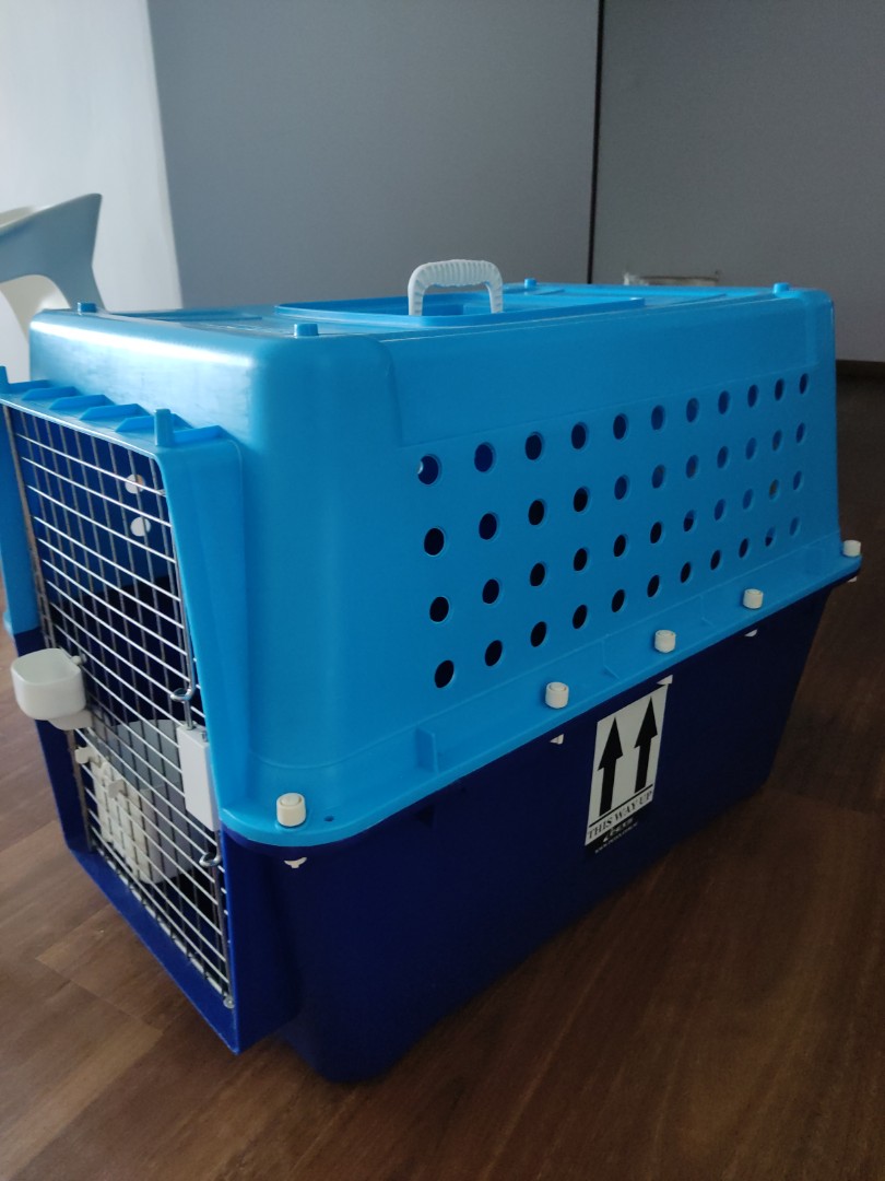 Airline approved crate PP50, Pet Supplies, Homes & Other Pet Accessories on Carousell