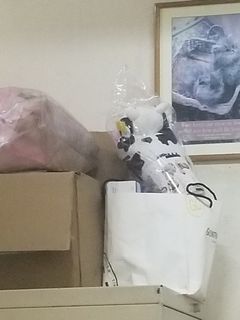（分類：）位於 。 由 dpptoyou 提交（商品編號 1164991997，圖片 1）。簡介： 。