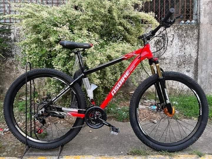 Budget meal cheap mountain bike