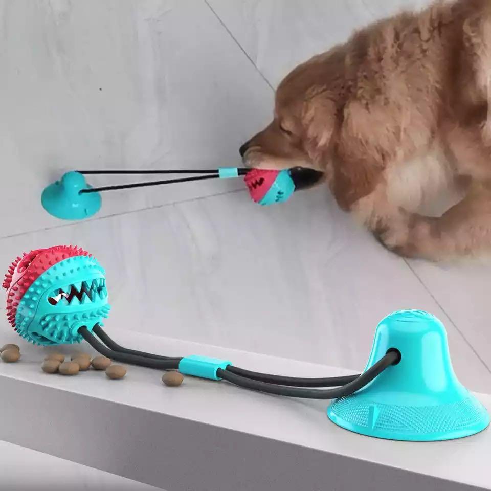 dog pulling toy sticks to floor