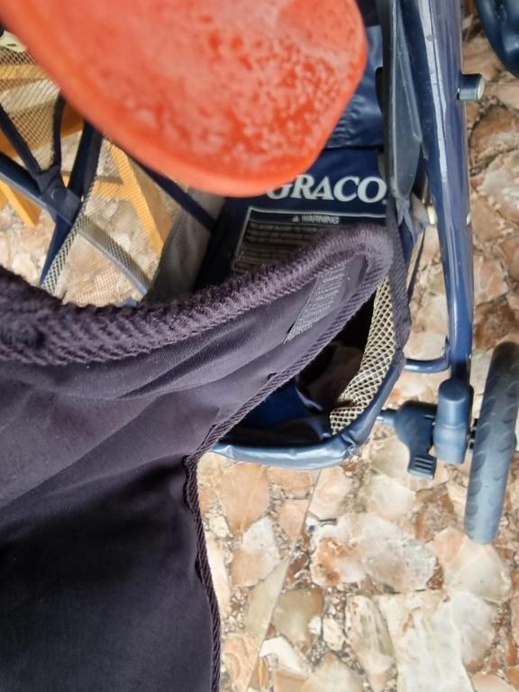 Graco sterling online