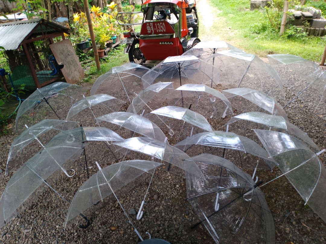 Japan umbrellas, Hobbies & Toys, Travel, Umbrellas on Carousell