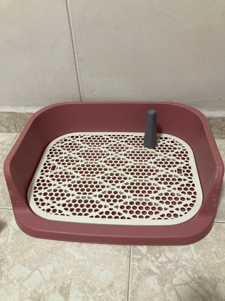 Pet pee tray and Pee pads, Pet Supplies, Homes & Other Pet Accessories