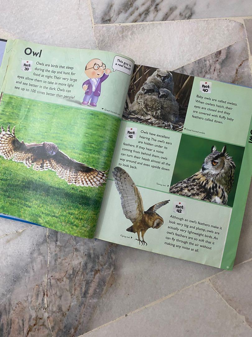 Playhouse Disney Encyclopedia, Hobbies & Toys, Books & Magazines