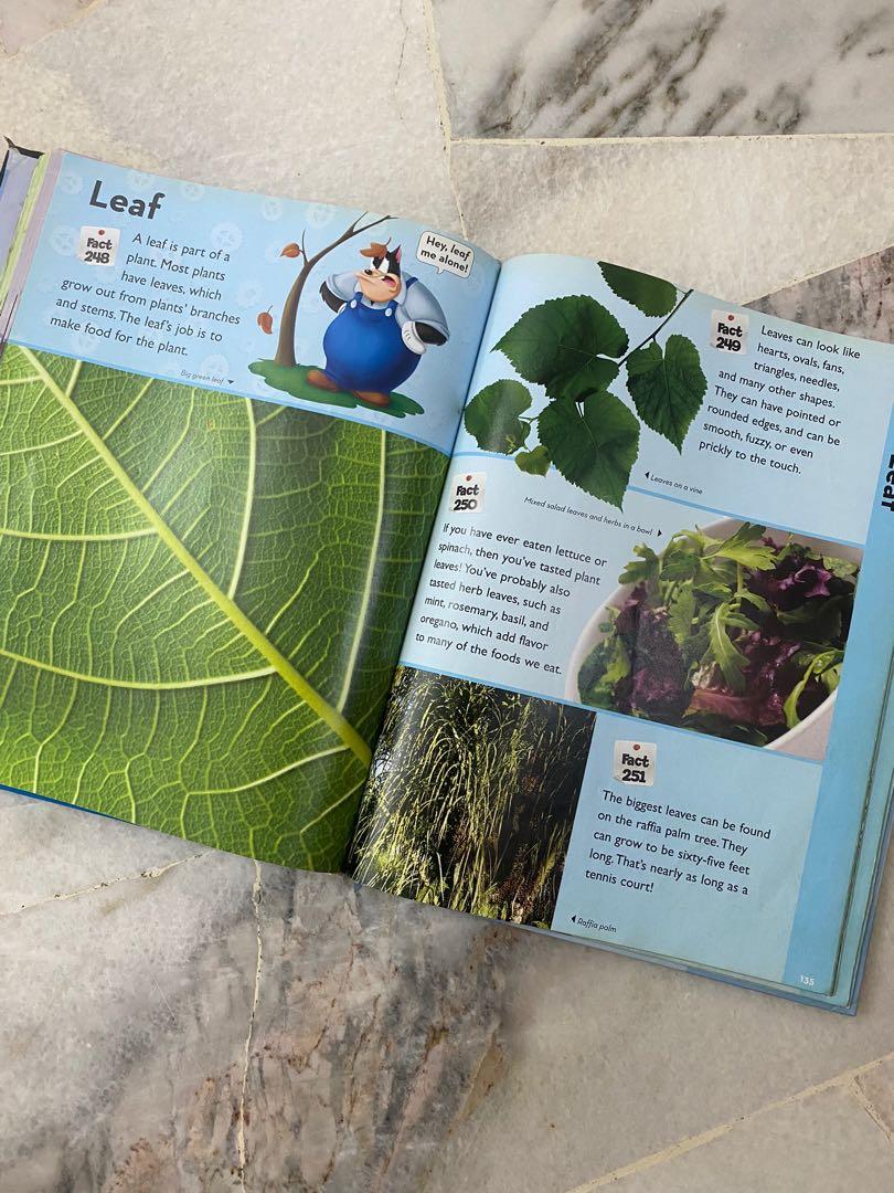 Playhouse Disney Encyclopedia, Hobbies & Toys, Books & Magazines