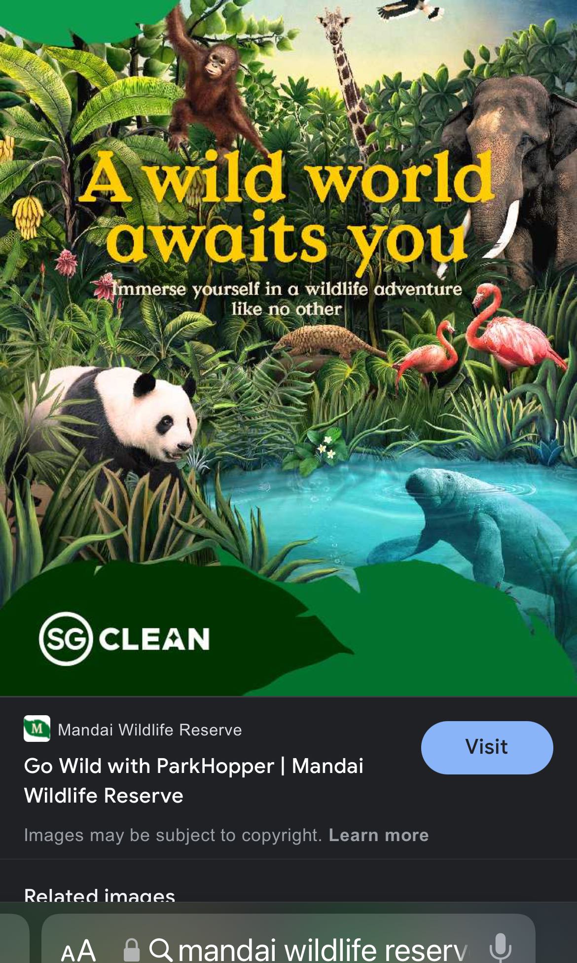 Singapore Zoo tickets 15 june 10 am 35 each, Tickets & Vouchers, Event