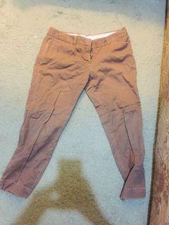 The executive pants brown