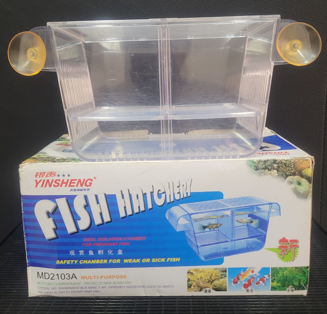 Fish Hatchery, Pet Supplies, Homes & Other Pet Accessories on Carousell