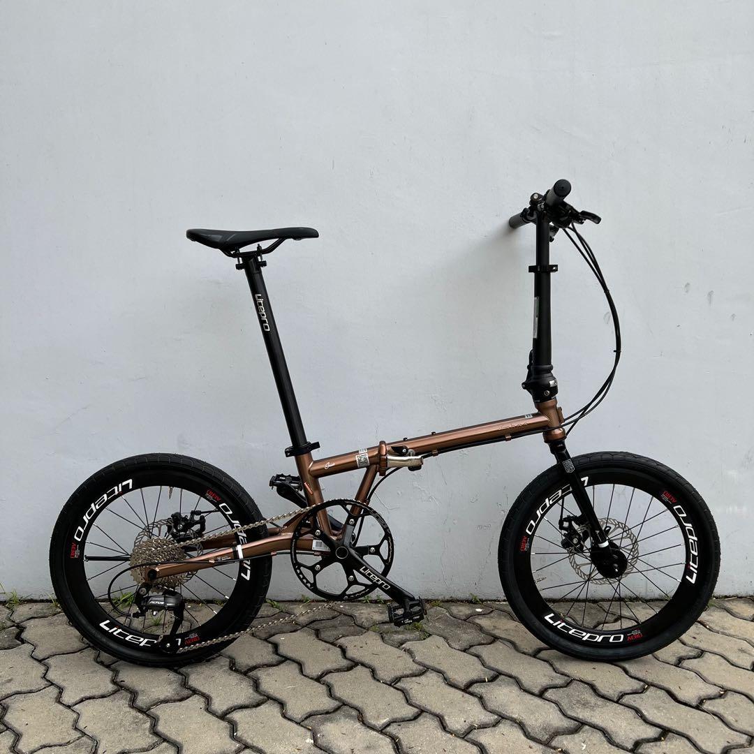 Fnhon gust 20 inch rose gold titanium shimano litepro Sports Equipment Bicycles Parts Bicycles on Carousell