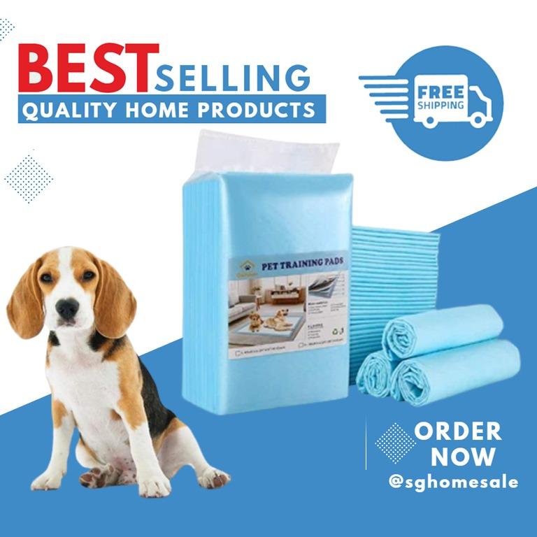 Blue beagle clearance training pads