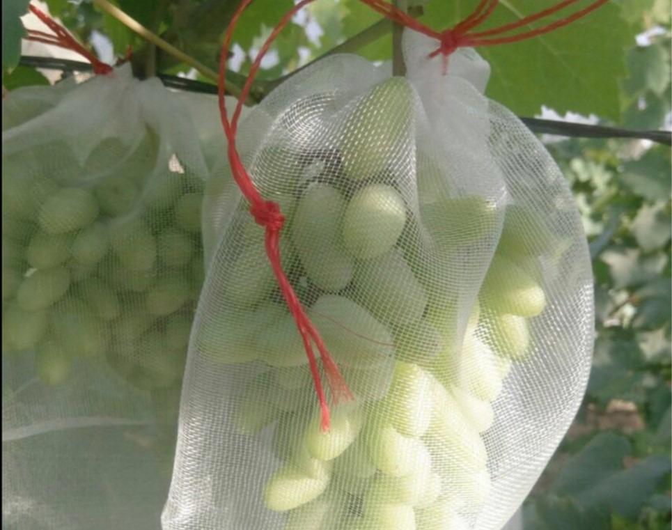 Fruit net hotsell bag