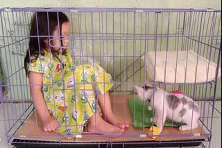 (Kategori: ) berada di . Dikirim oleh prelovedmonik (ID iklan 1165095302, Gambar 1). Deskripsi: .