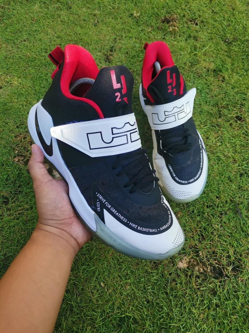 lebron ambassador 17