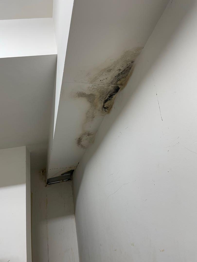 Water Seepage/ Water leakage Repair, Home Services, Renovations