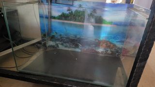(Category: ) located in . Submitted by maxindia001 (Listing ID 1165248078, Image 1). Description: .