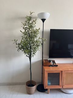 (Category: ) located in . Submitted by JessWong_Marsiling (Listing ID 1165318332, Image 1). Description: .