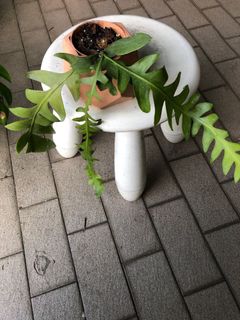 (Category: ) located in . Submitted by leaflet.co (Listing ID 1165333582, Image 1). Description: .