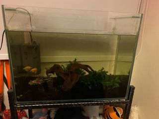 (Category: ) located in . Submitted by lmodaho (Listing ID 1165382042, Image 1). Description: .