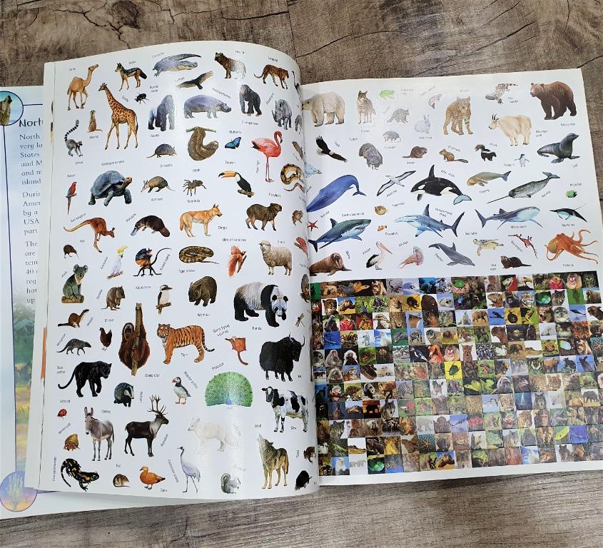 My Incredible Sticker Atlas The World, Animals, Space & Dinosaurs