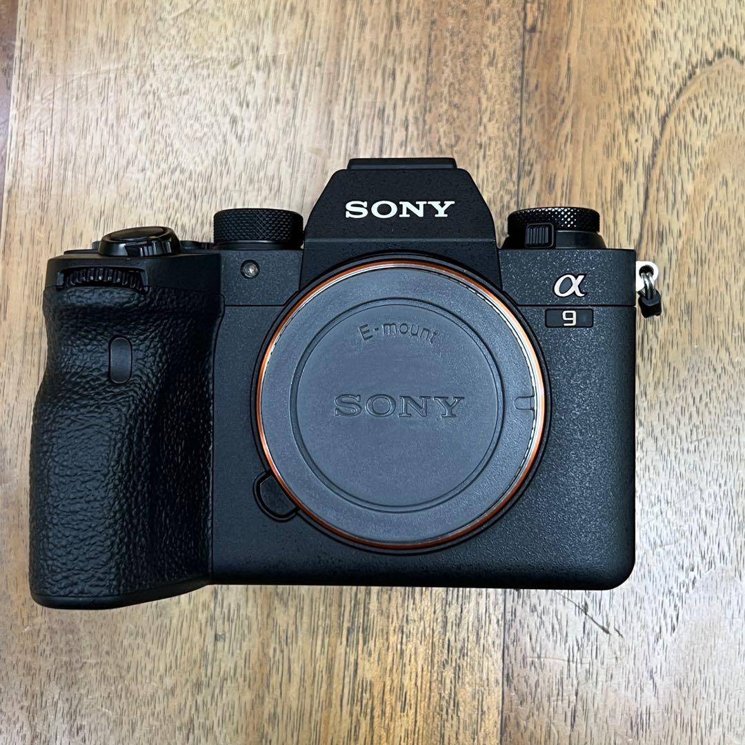 Sony A9ii Photography Cameras on Carousell