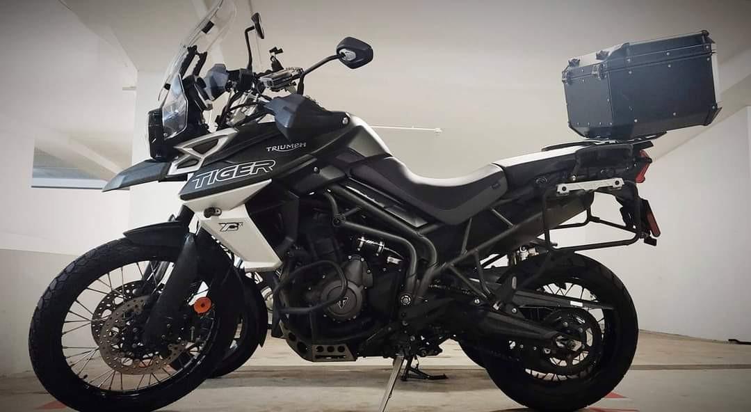 Triumph tiger discount 800 xcx 2019