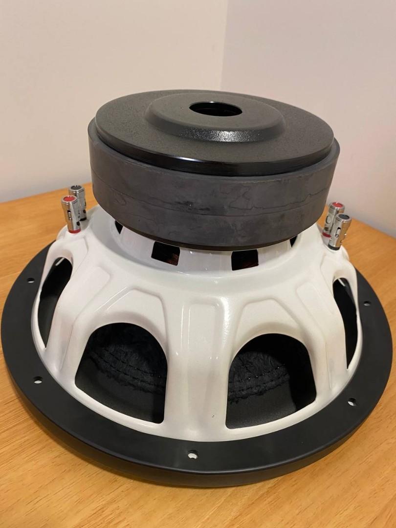 Woofer double coil double magnet clearance