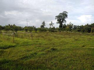 Beautiful Upland 1 Hectare plus Lot FOR SALE!