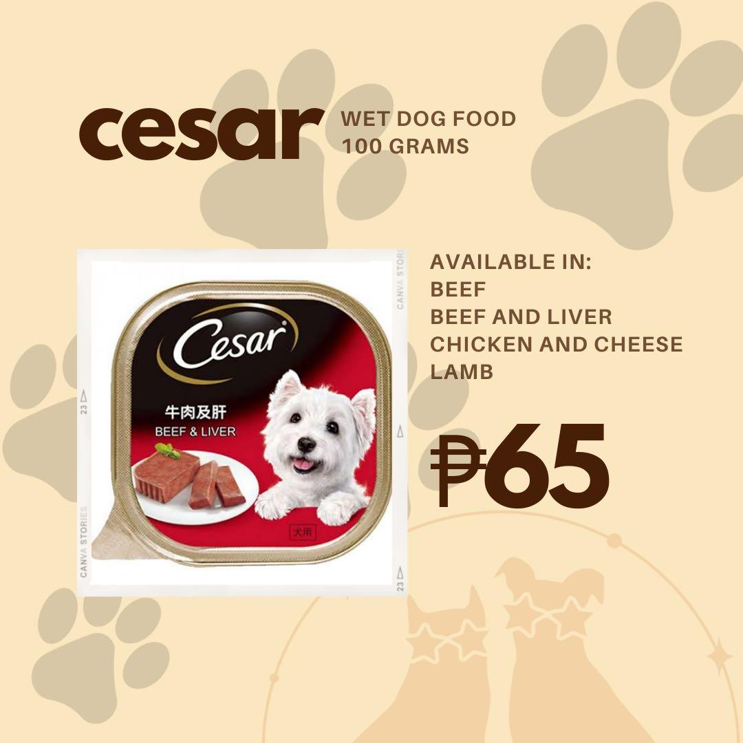 petsmart cesar dog food