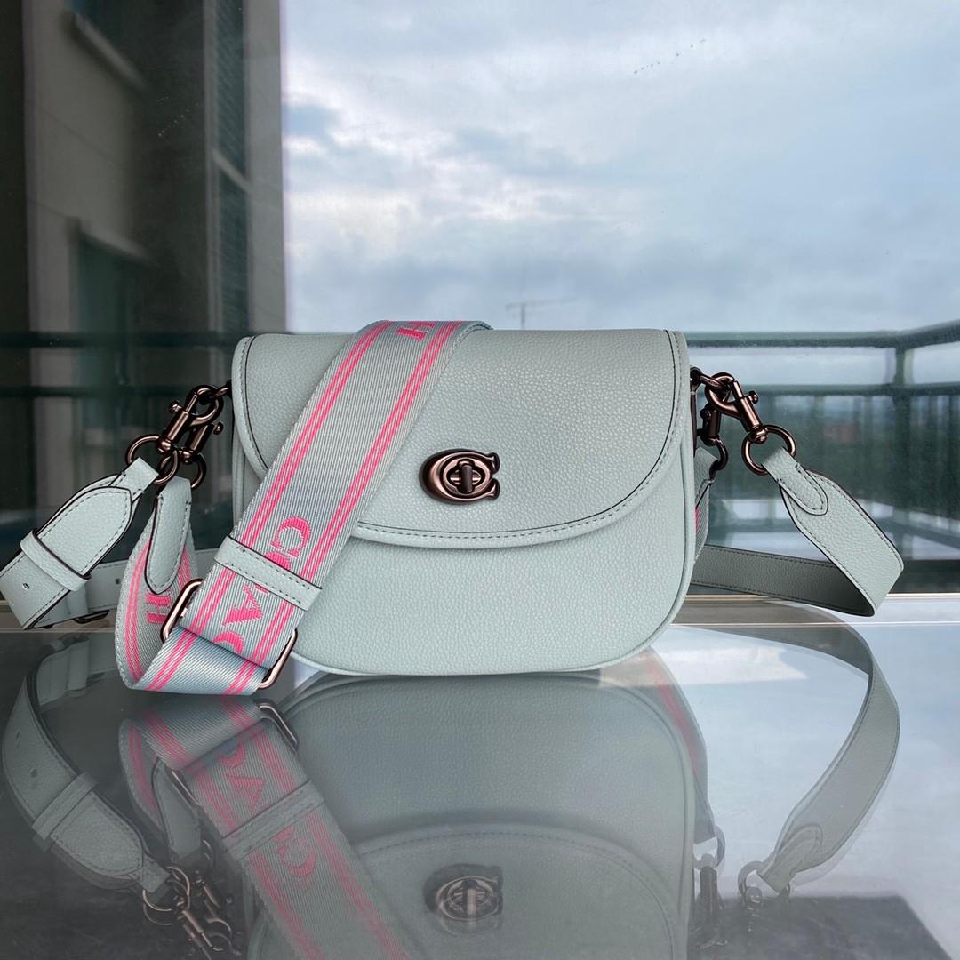 Coach online bag types