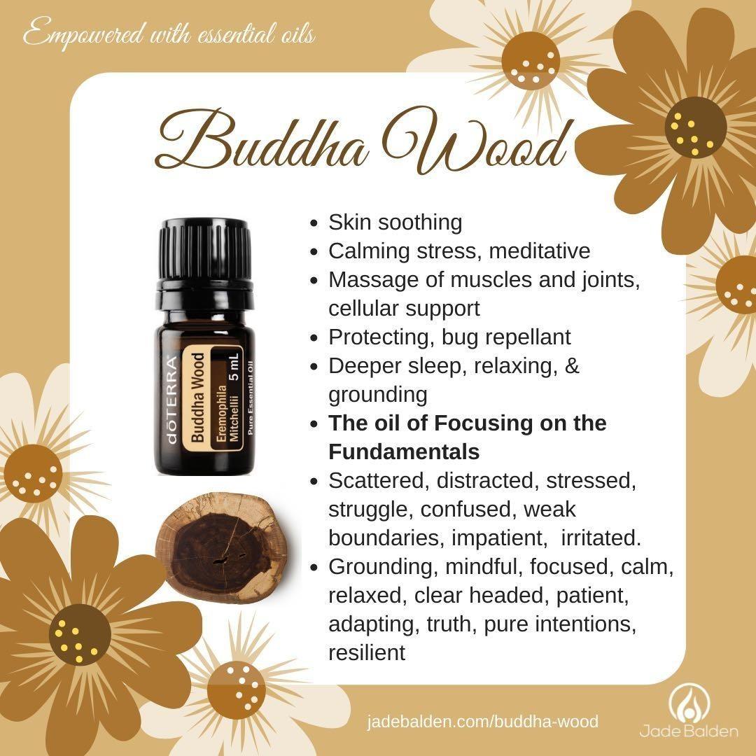 doTERRA Buddha Wood 5ml (Limited Edition), Furniture & Home Living