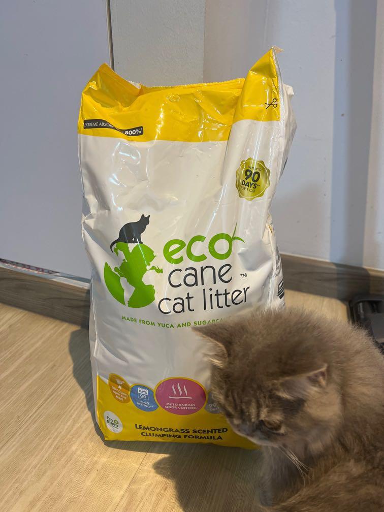 Eco Cane Cat Litter, Pet Supplies, Homes & Other Pet Accessories on