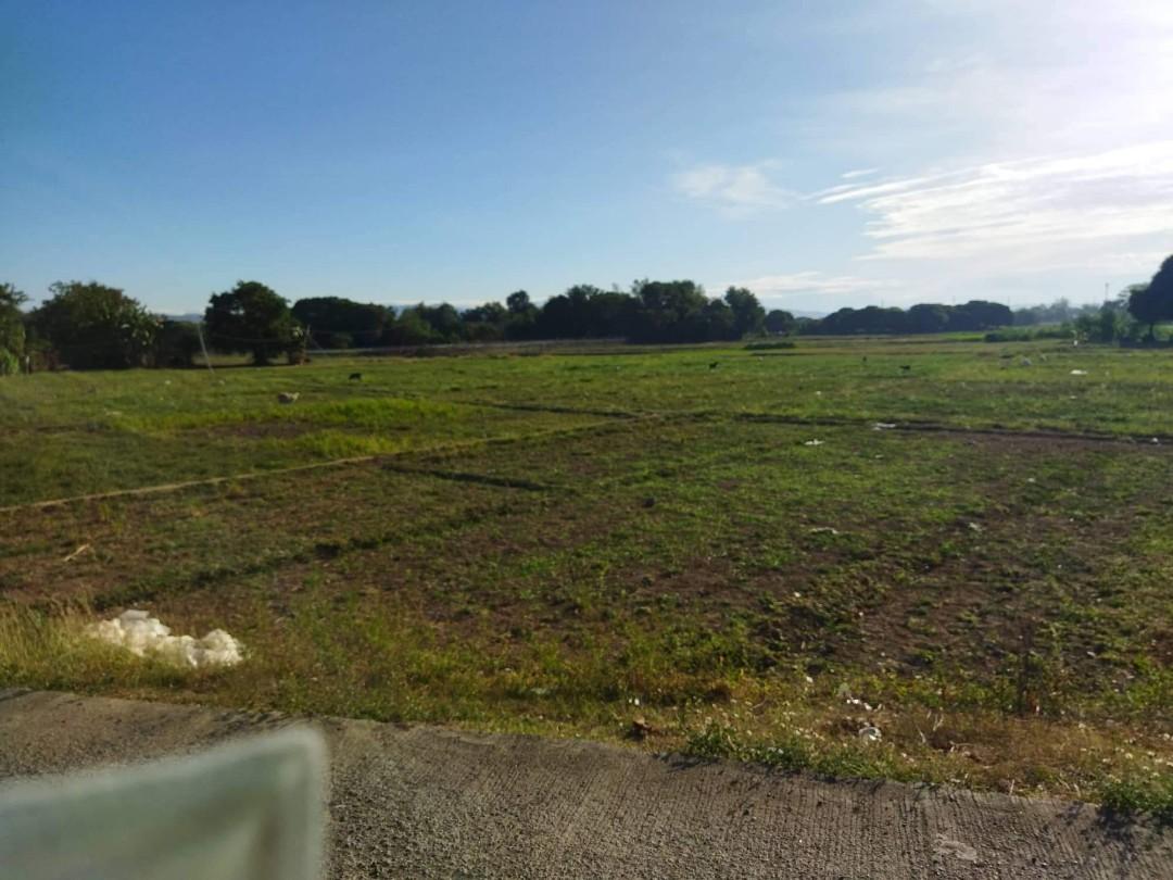 Farm lot brgy. Licaong munoz nueva ecija, Property, For Sale, Lot on