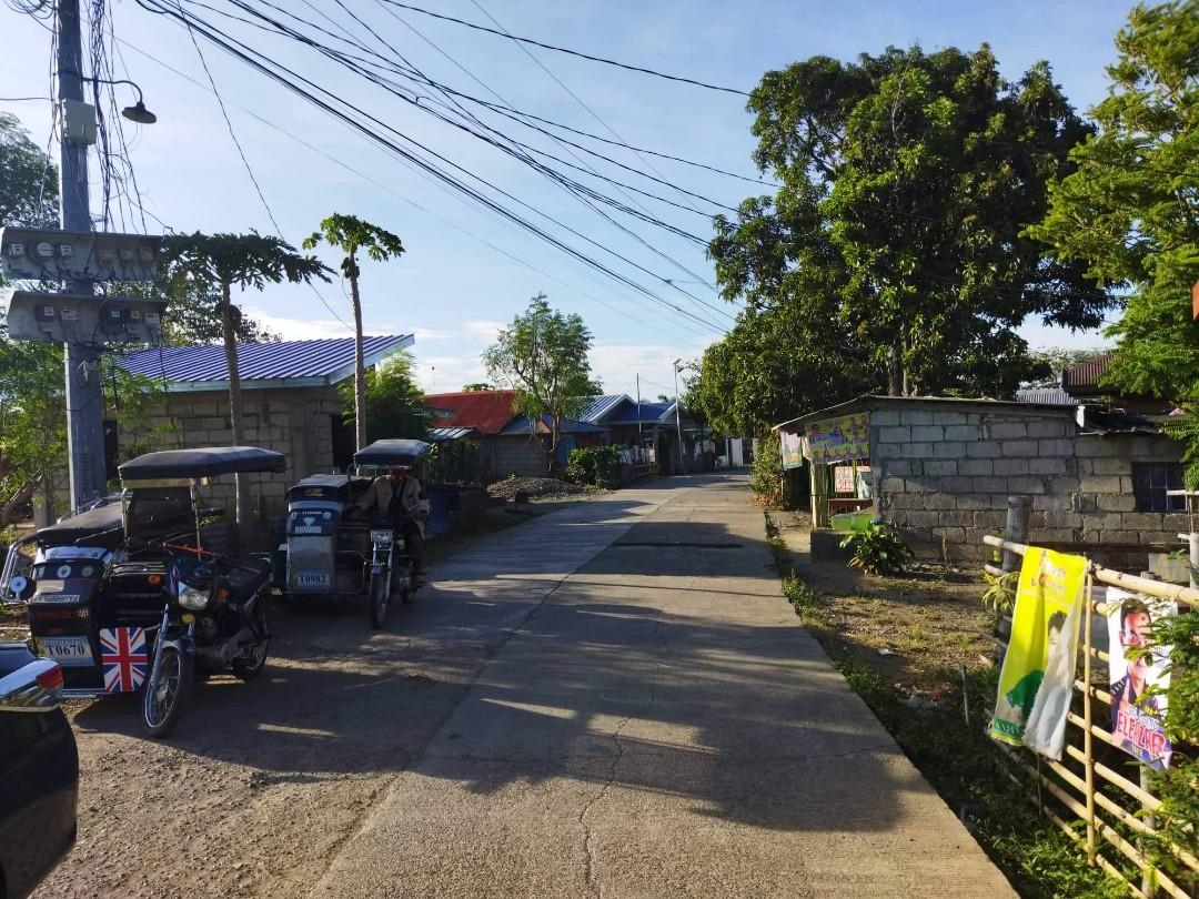 Farm lot brgy. Licaong munoz nueva ecija, Property, For Sale, Lot on