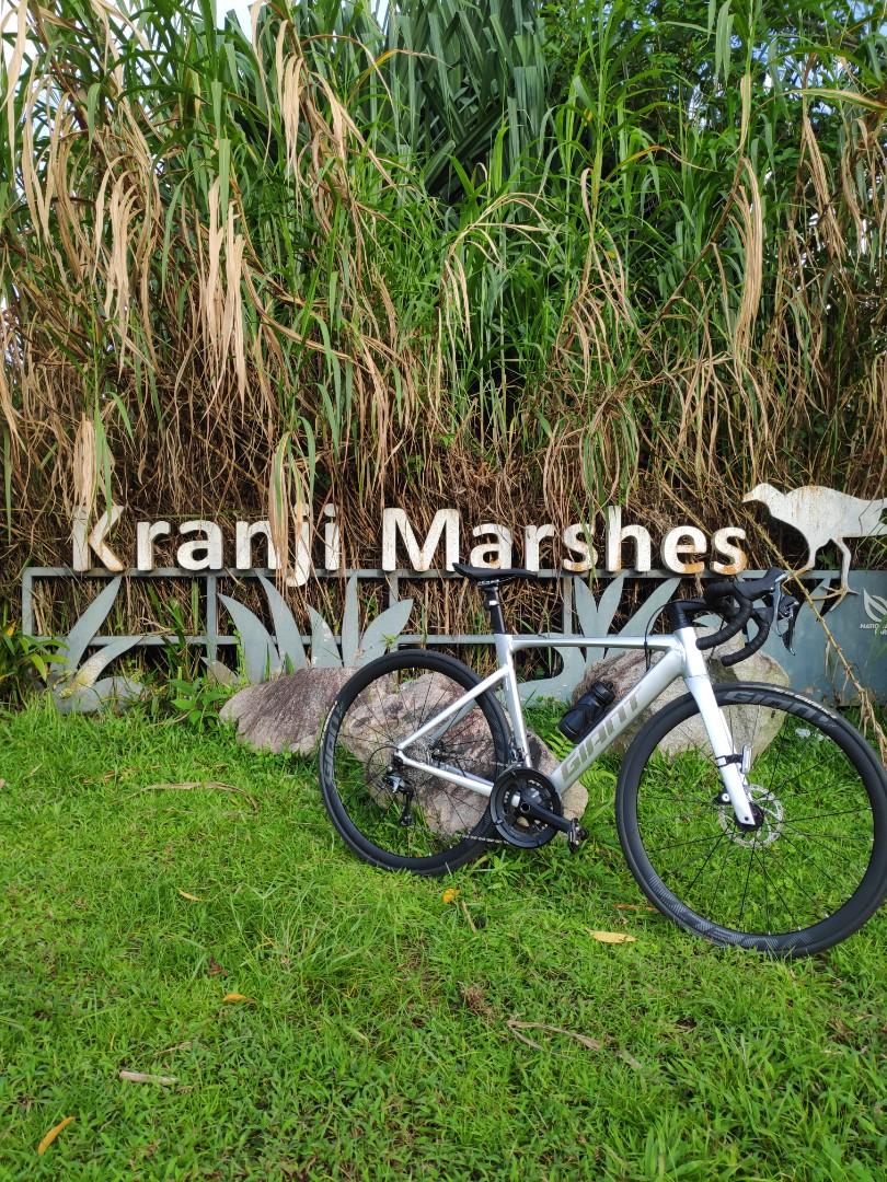 Giant propel sl disc 2021 sale
