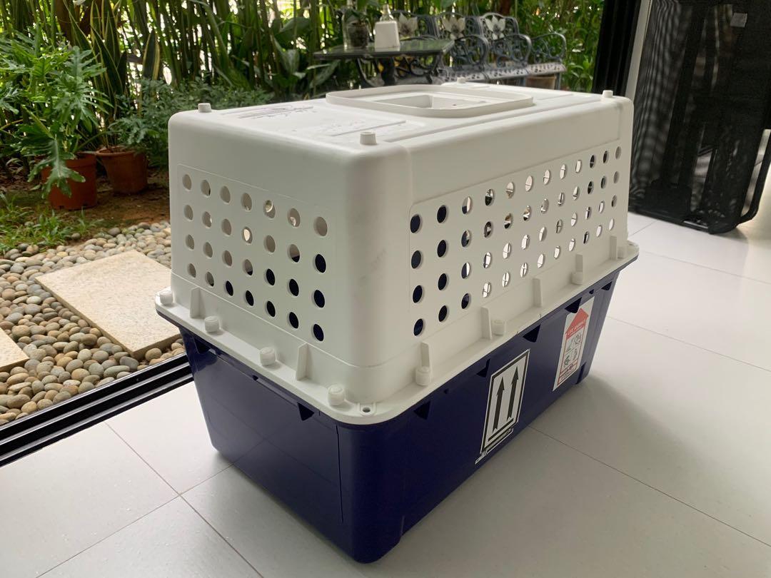 IATA PP40 Dog Crate, Pet Supplies, Homes & Other Pet Accessories on