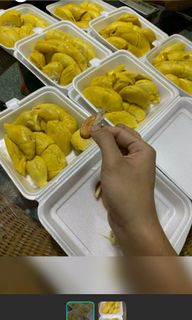 (Category: ) located in . Submitted by durian_diary (Listing ID 1165622531, Image 1). Description: .