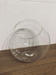 Terrarium glass orb