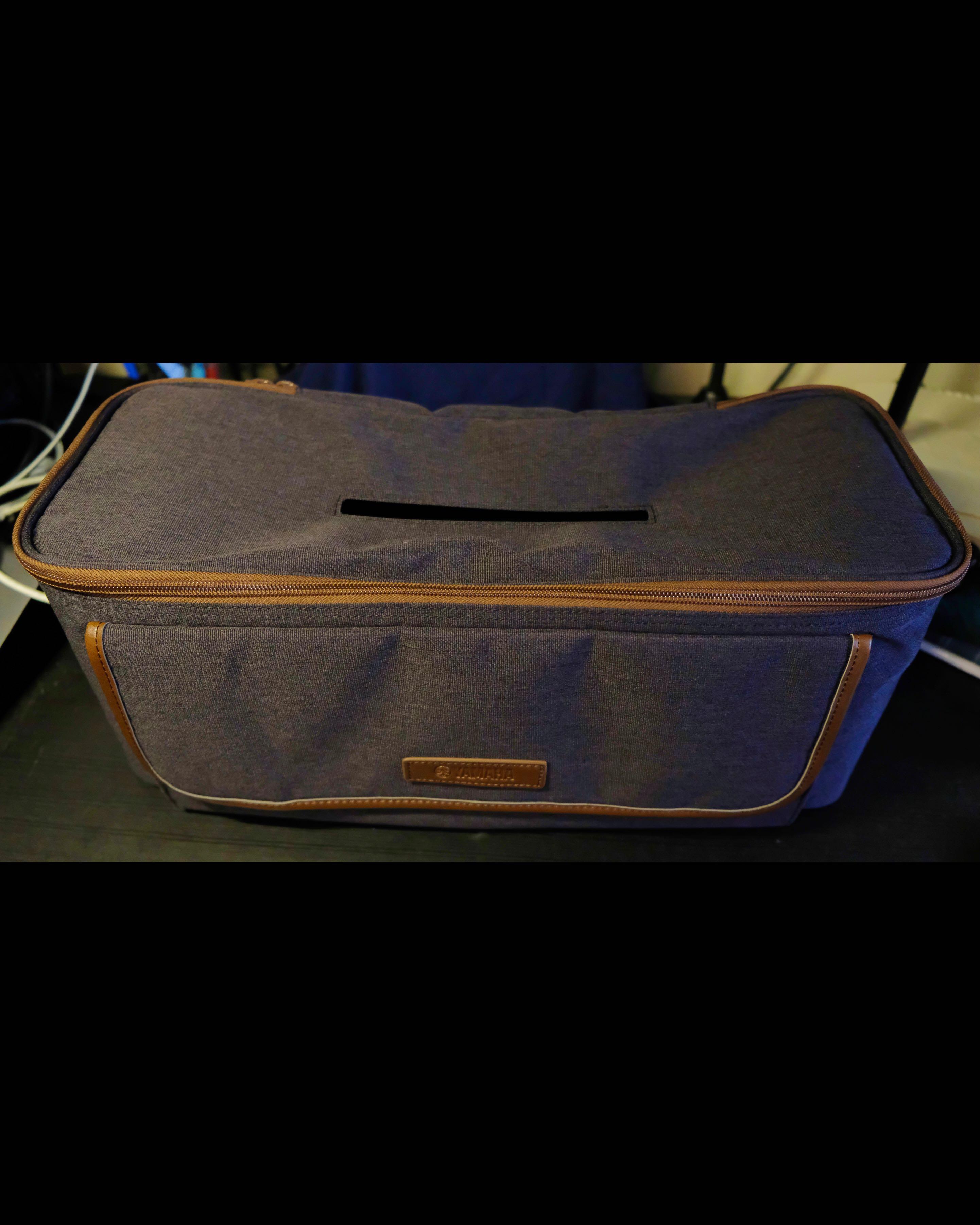 Yamaha thr10 hotsell bag