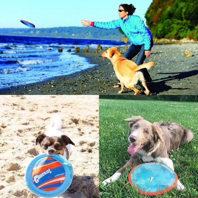 Colorful Liteflight Dog Activity Toy  New High Visibiltiy Frisbee Chuckit 