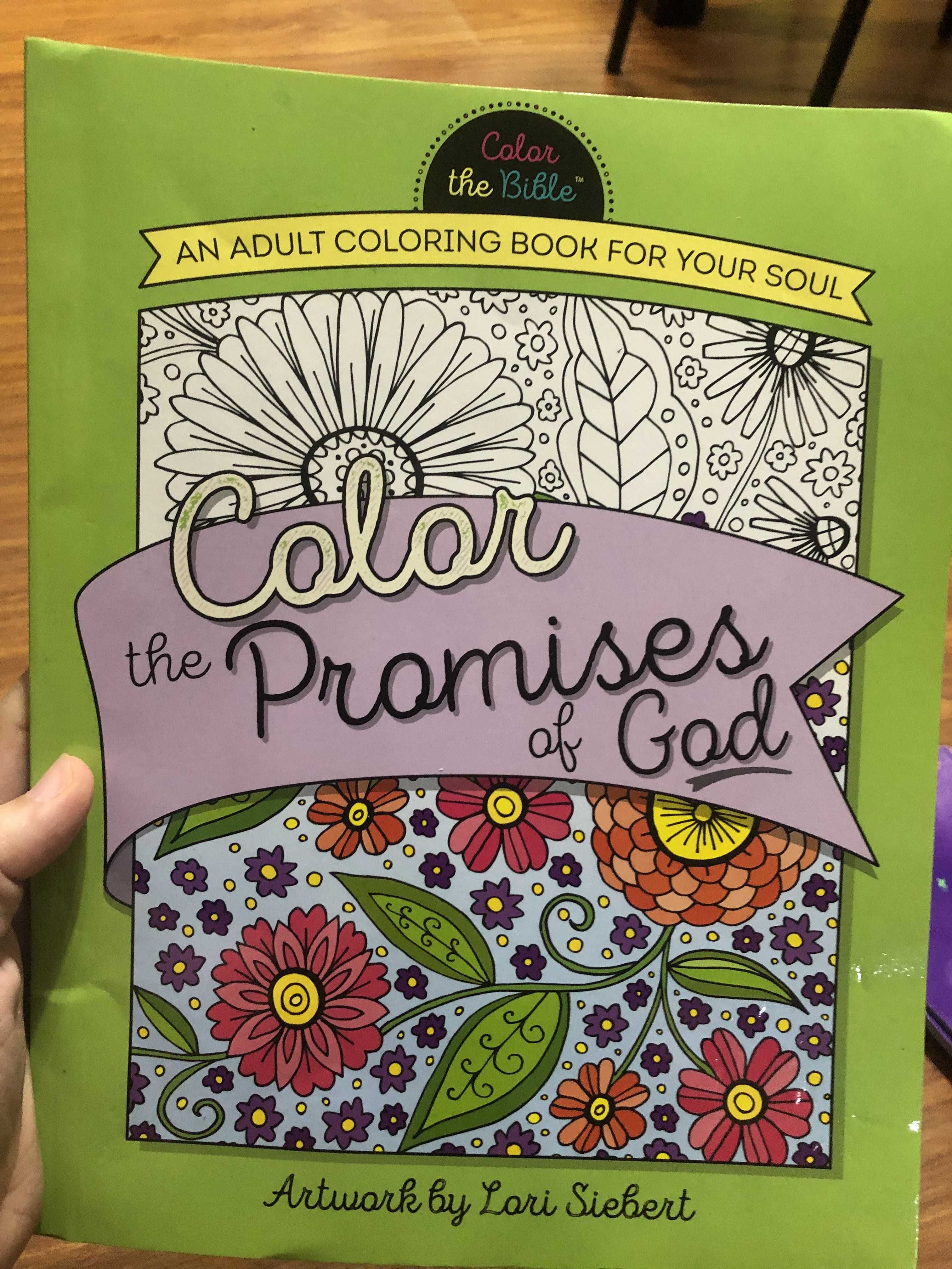 Adult Coloring Book: Color the Promises of God, Hobbies & Toys, Books ...