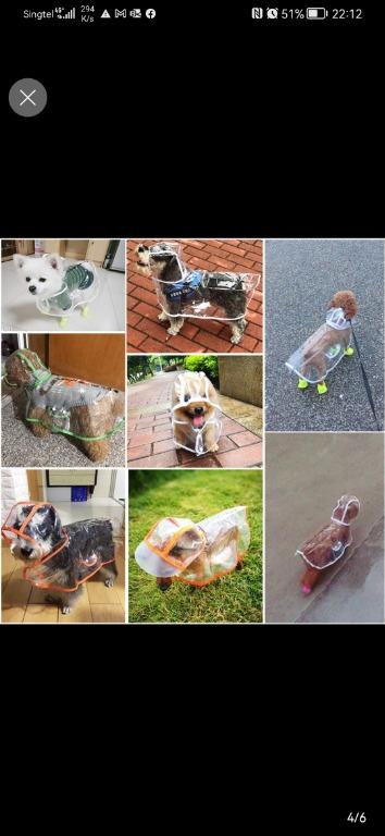 Singtee store dog shirts