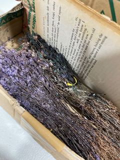 (Category: ) located in . Submitted by probsnotjill (Listing ID 1169935527, Image 1). Description: .