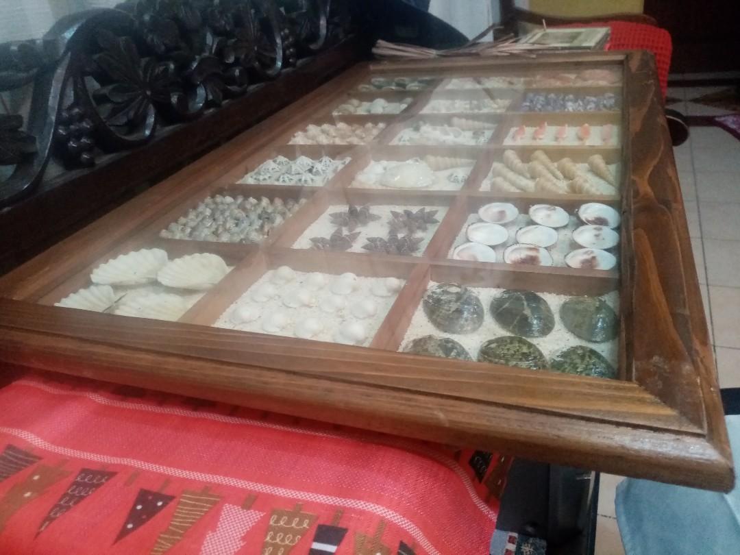 Framed Philippine Seashells Collectible (Category: Frames & Pictures) located in Quezon City. Submitted by maodg (Listing ID 1170003119, Image 2). Description: Collectible Framed Philippine Seashells. One-of-a-kind. Unique collection of seashells. 🔹Solid hard wood frame narra or acacia. Wood is heavy. 🔹Top of the frame is glass. 🔹Built-in hook if you want to hang or opt to have it just plain flat. 🔹Bought previously in Rustan's ( Rustan's tag